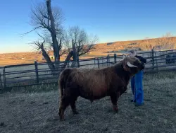 RVH Lex - DOB 03/20/2024