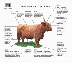 Female Breed Standard