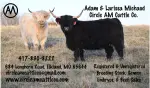 Circle AM Cattle Co